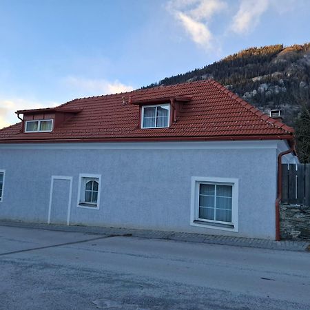 Appartamento Haus Steiner Teufenbach  Esterno foto